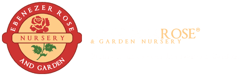 Ebenezer Rose & Garden Nursery