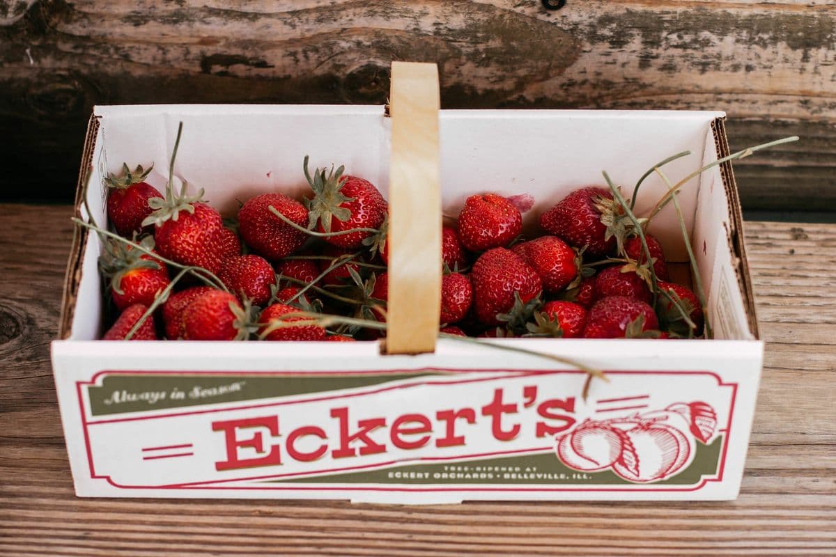 Eckert's Pick Your Own Belleville Farm