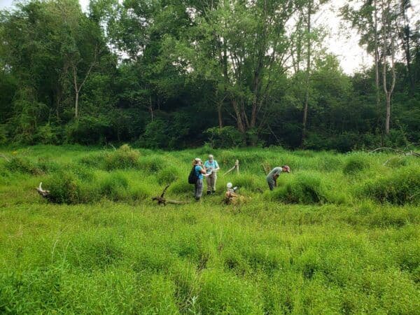 Ecotone's Native Nursery