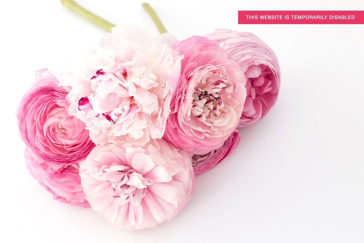Eden Floral Design