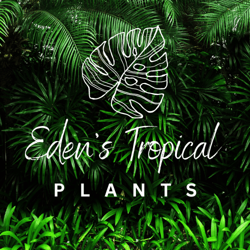 Eden's Tropical Plants