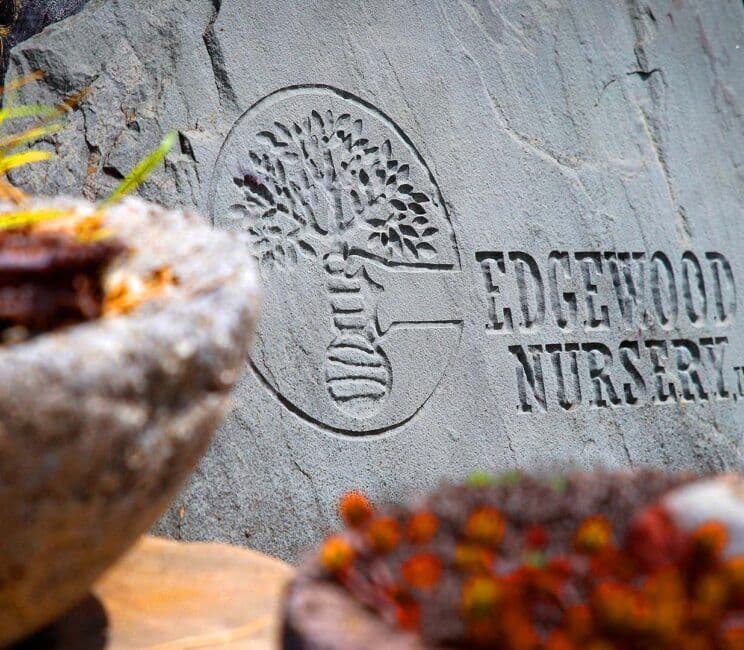 Edgewood Nursery