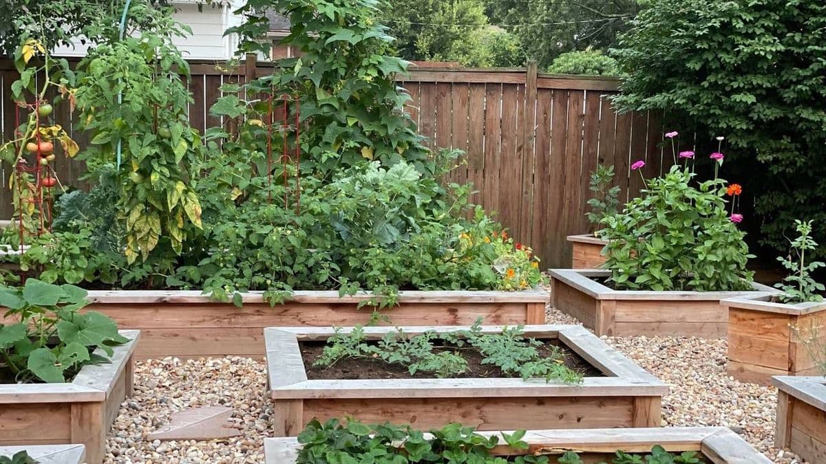 Edible Gardens Inc.