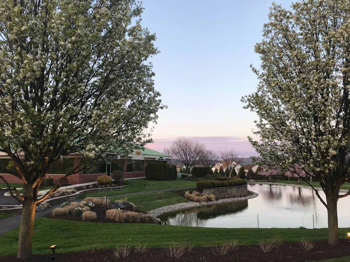 Edwards Landscape & Nursery