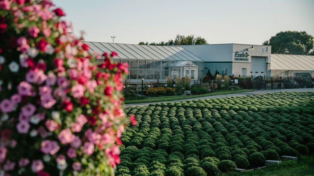 Eisele Greenhouse Inc