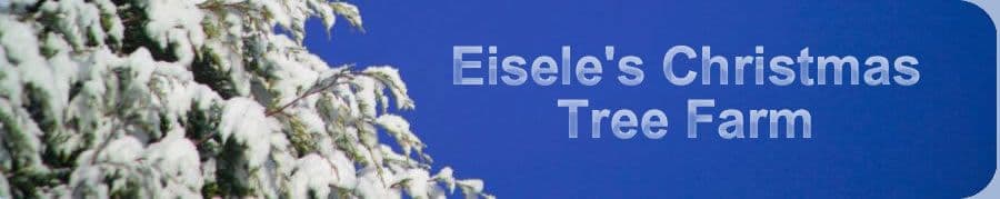 Eisele's Christmas Tree Farm