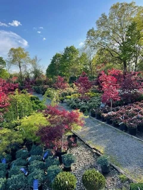 Eisele's Nursery & Garden Center