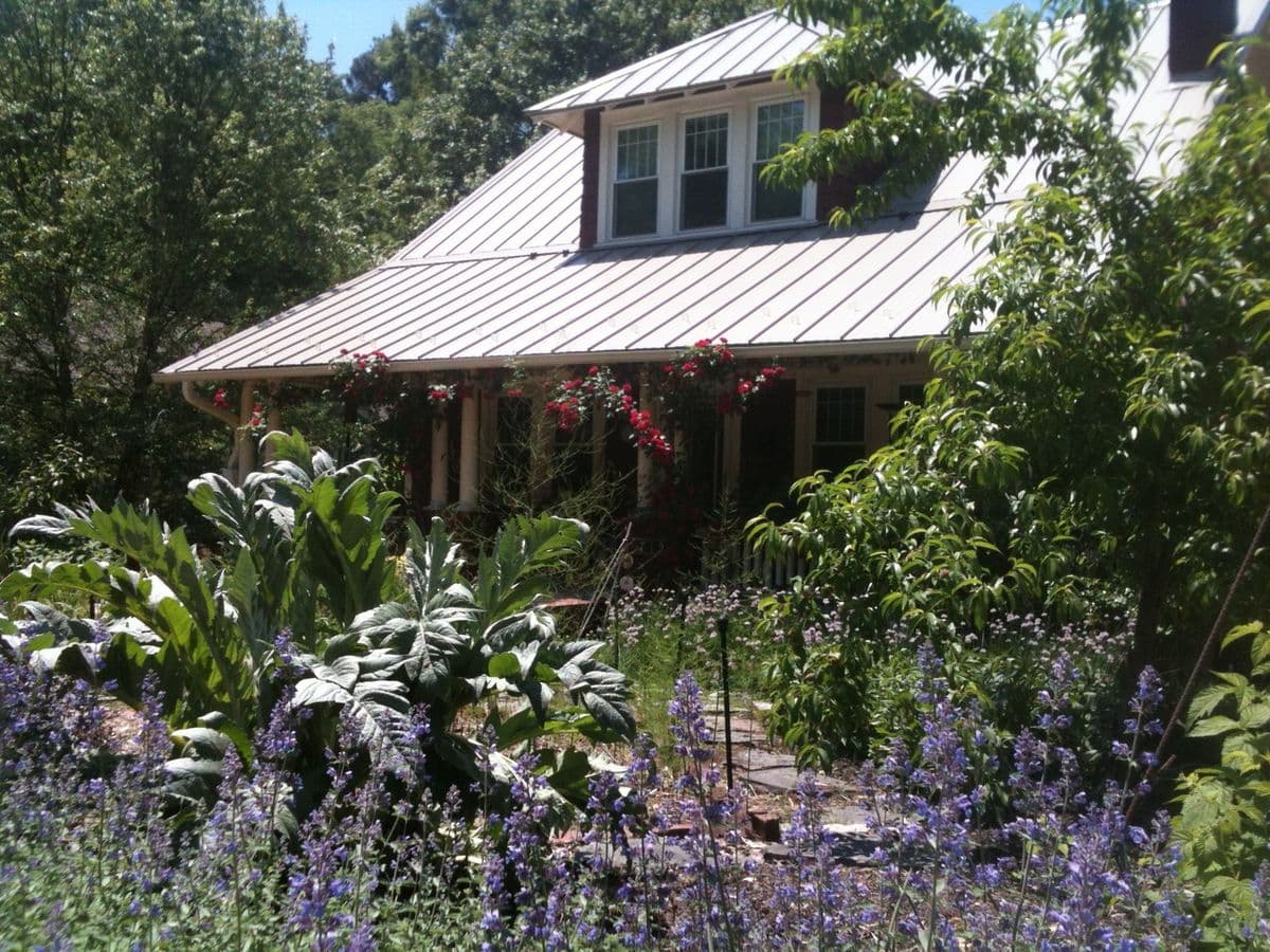 Elam Gardens