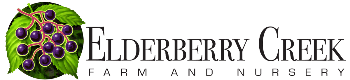 Elderberry Creek Farm & Nursery