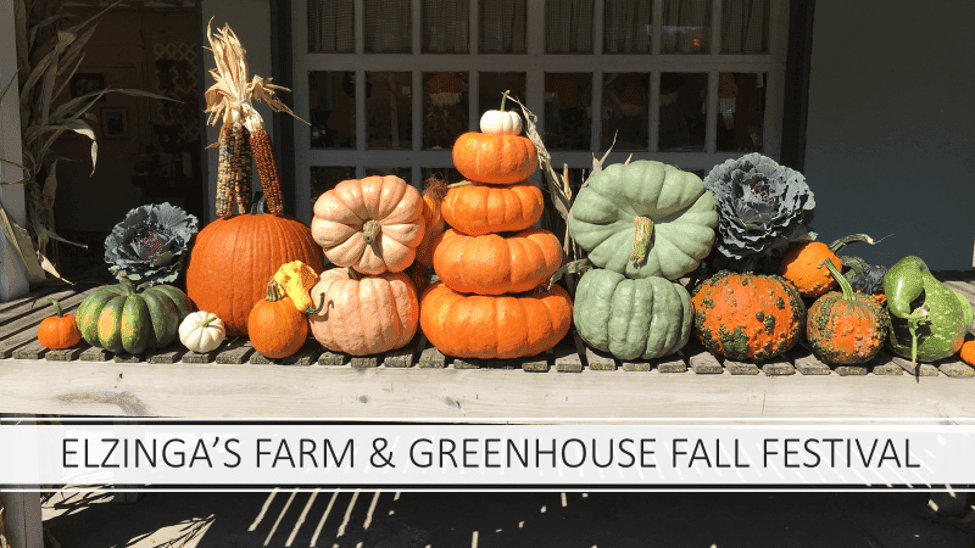 Elzinga Farm & Greenhouse
