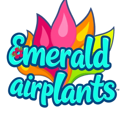 Emerald Air Plants