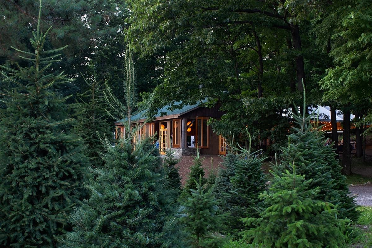 Emmerich Tree Farm