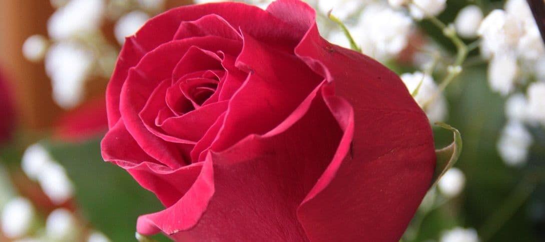 Erickson's Florist Garden Center