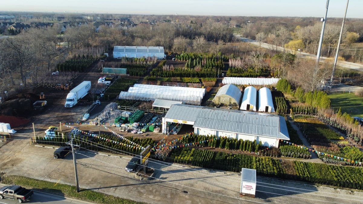 Escazu Nursery