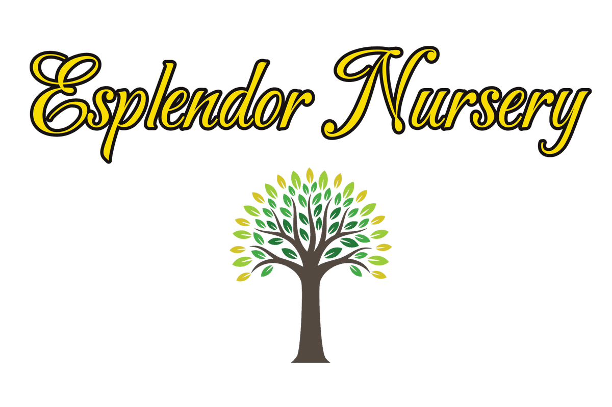 Esplendor Nursery