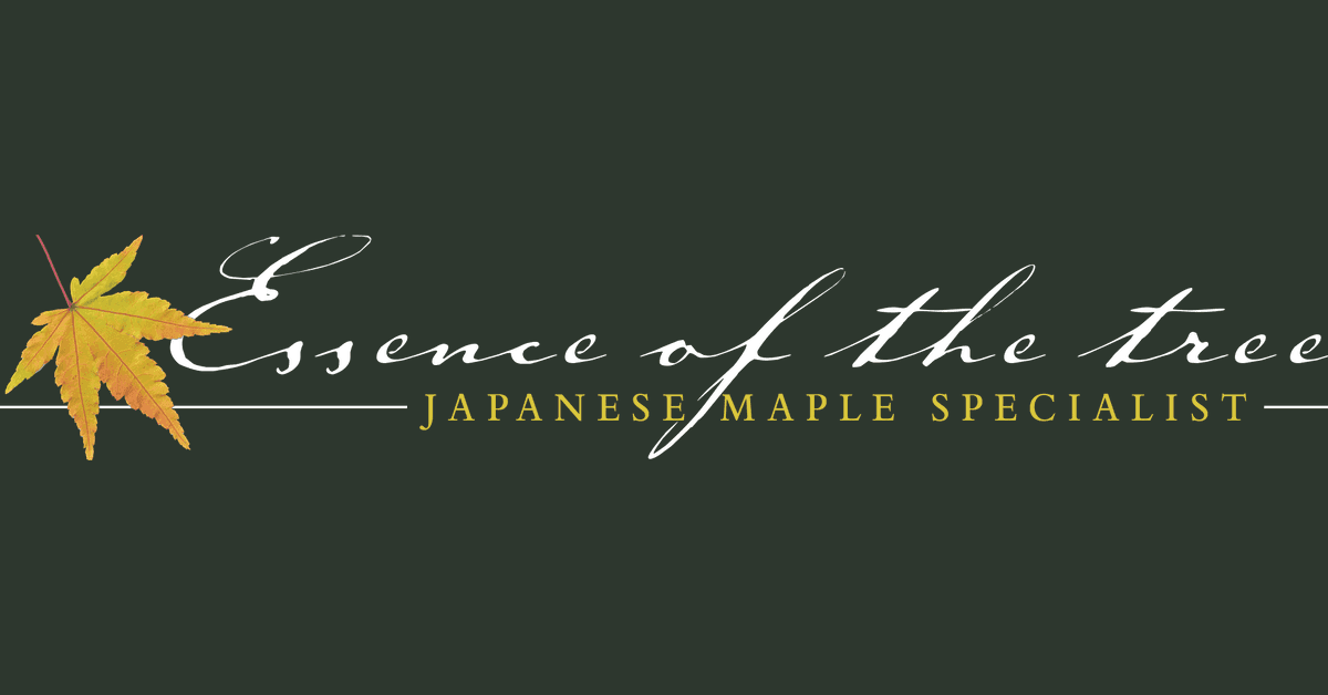 Essence of the Tree