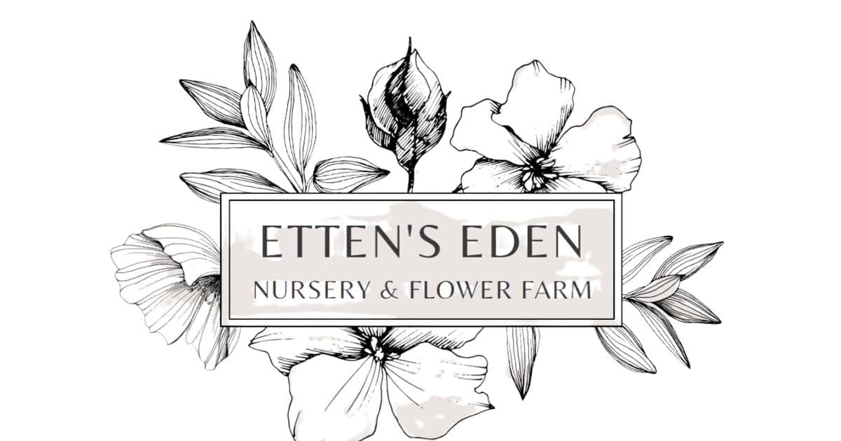 Etten's Eden