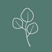 Eucalyptus Houseplants and Home