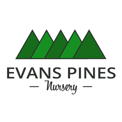 Evans Pines Nursery