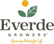 Everde Growers - Bradshaw Farm