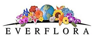 Everflora Chicago Inc