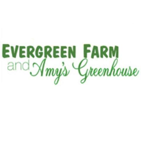 Evergreen Farm - Amy's Greenhouse
