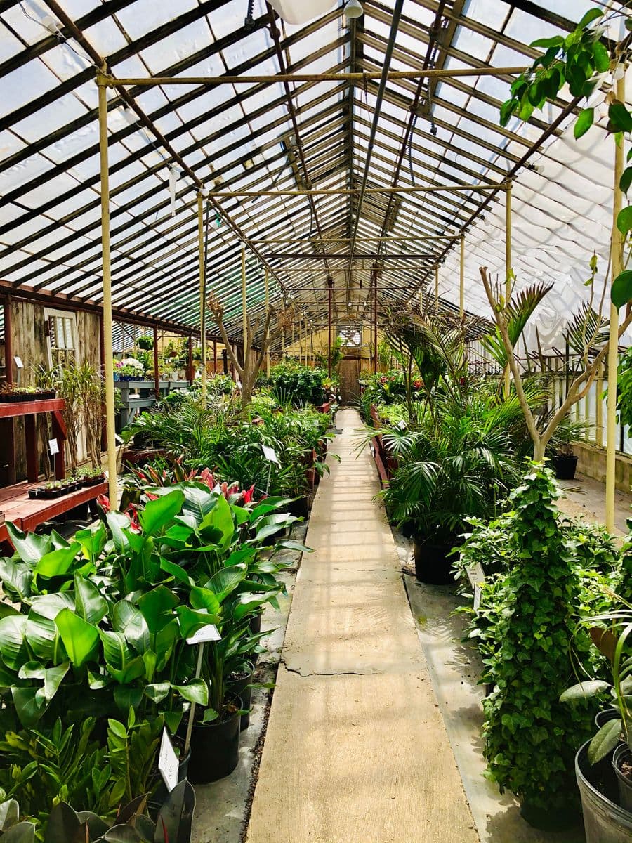 Evergreen Garden Center