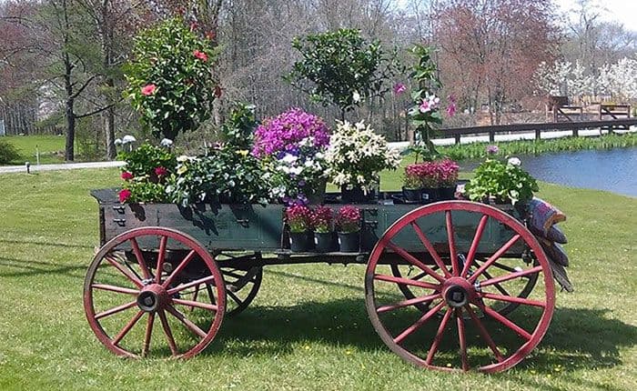 Evergreen Nurseries