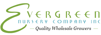 Evergreen Nursery Co Inc