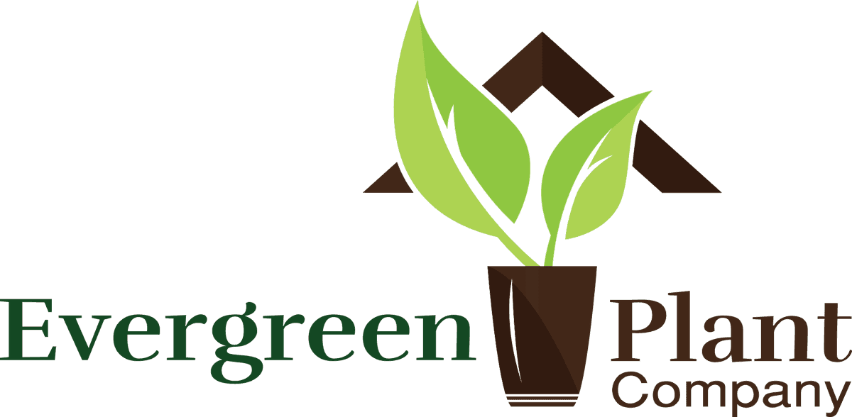 Evergreen Plant Company