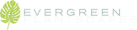 Evergreen Plantscapes LLC