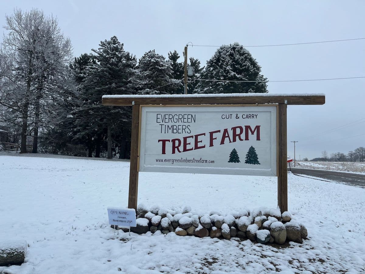 Evergreen Timbers Christmas Tree Farm