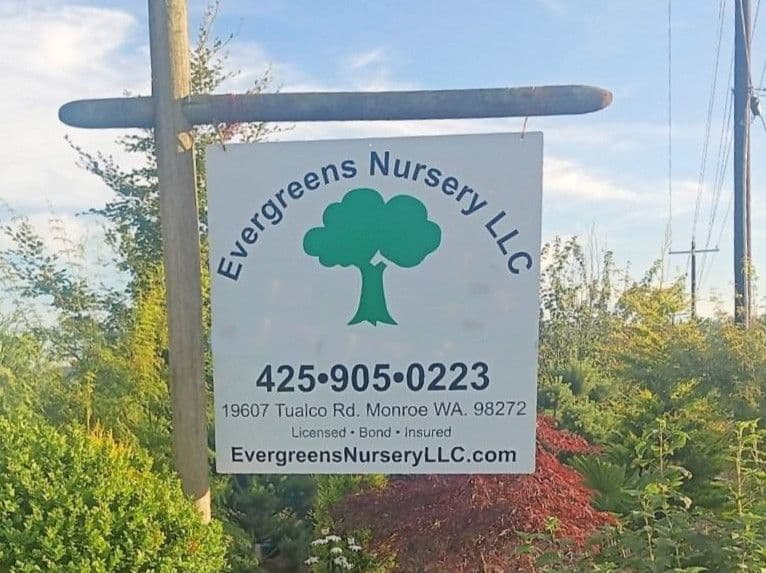 Evergreens Nursery in Monroe