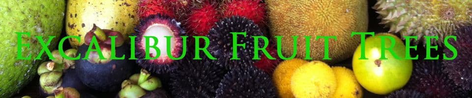 Excalibur Fruit Trees LLC