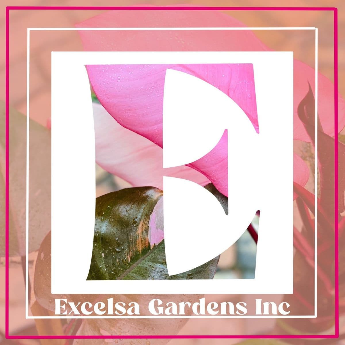 Excelsa Gardens Nursery