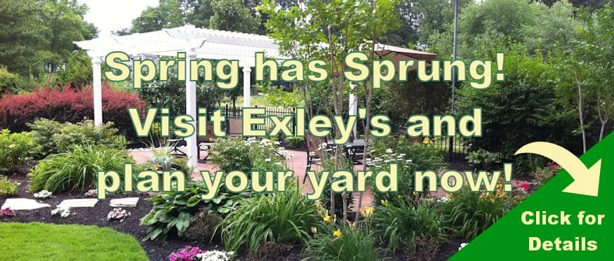 Exley's Landscape Service Inc