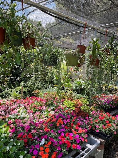 Exotic Garden Nursery