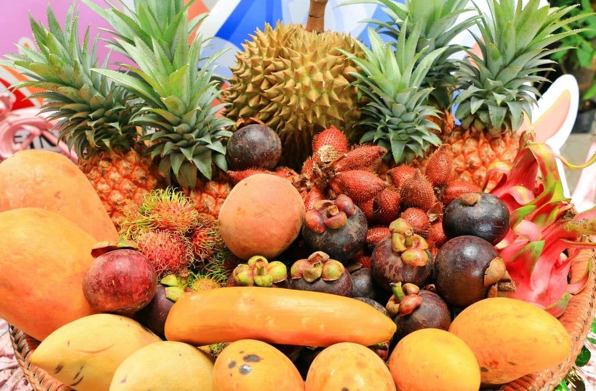 Exotica Rare Fruit Nursery