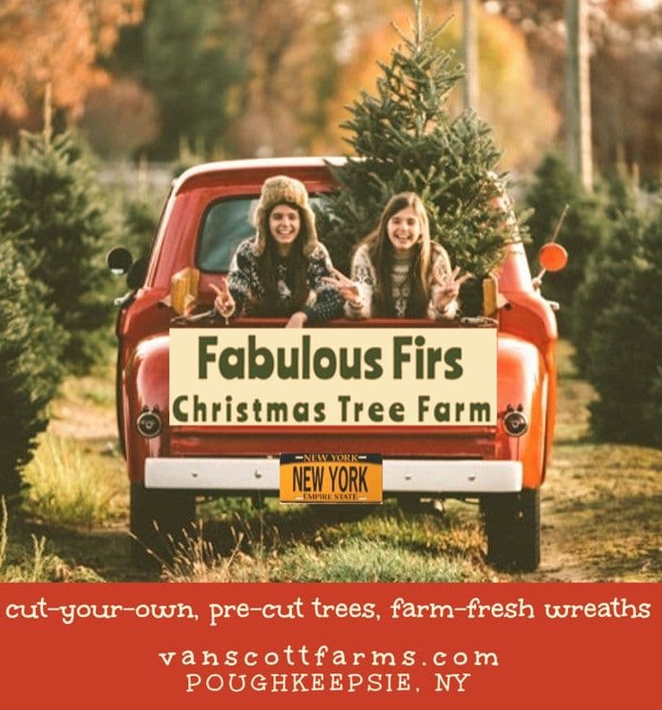 "Fabulous Firs Christmas Tree Farm" at VanScott Farms, LLC