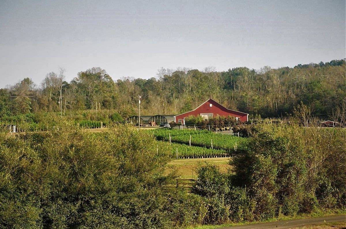 Fairways Nursery, Inc.