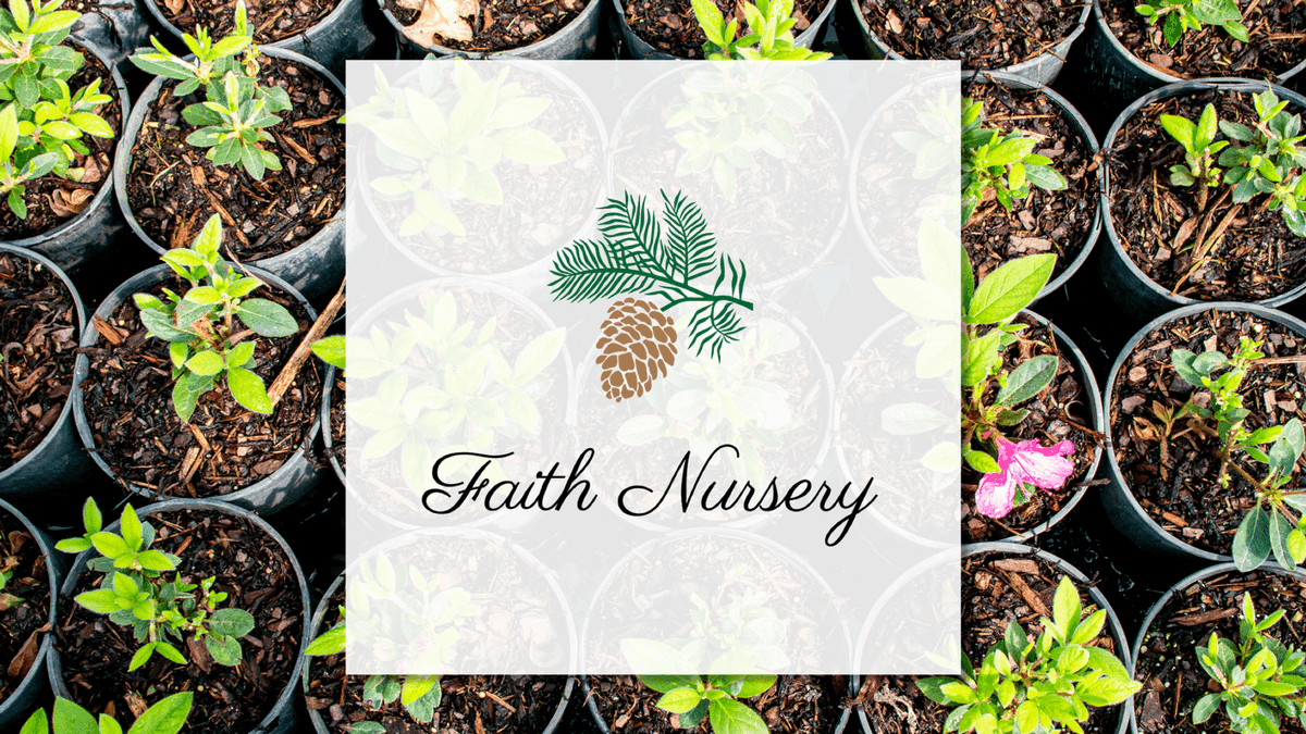 Faith Nursery, LLC