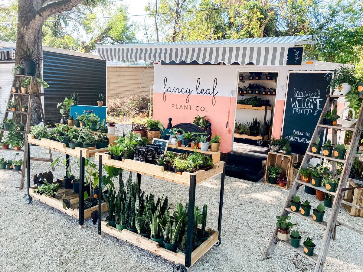 Fancy Leaf Plant Co