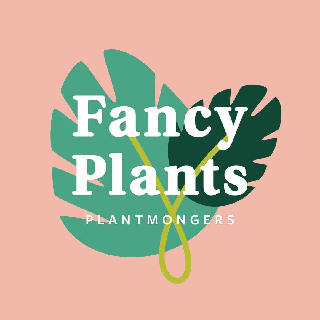 Fancy Plants Plantmongers
