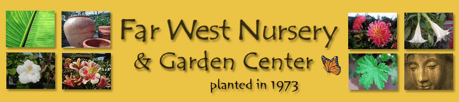 Far West Nursery