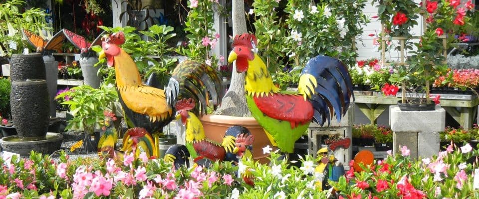 Farmer Girl Exotic Gardens