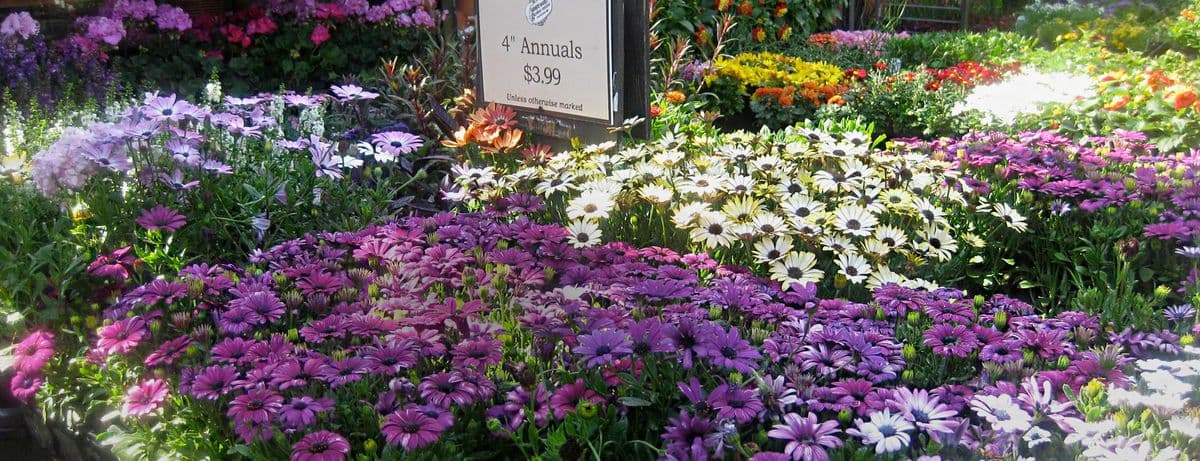 Farmers Market - Chicago's Garden Center