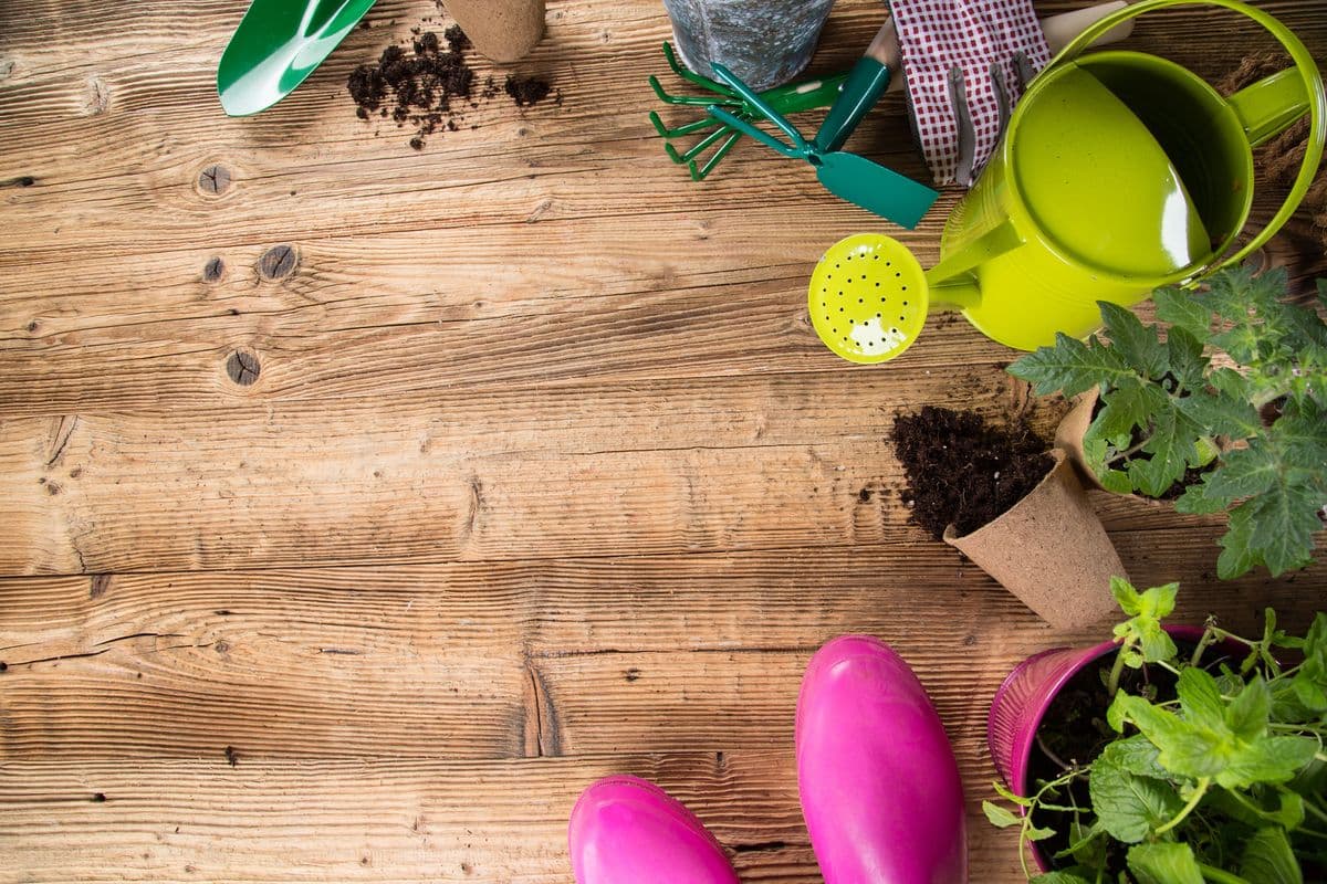 Fasel & Sons Garden Center