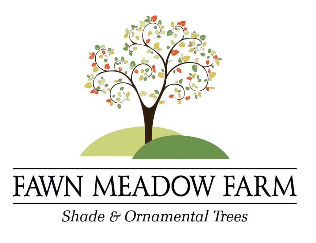 Fawn Meadow Farm