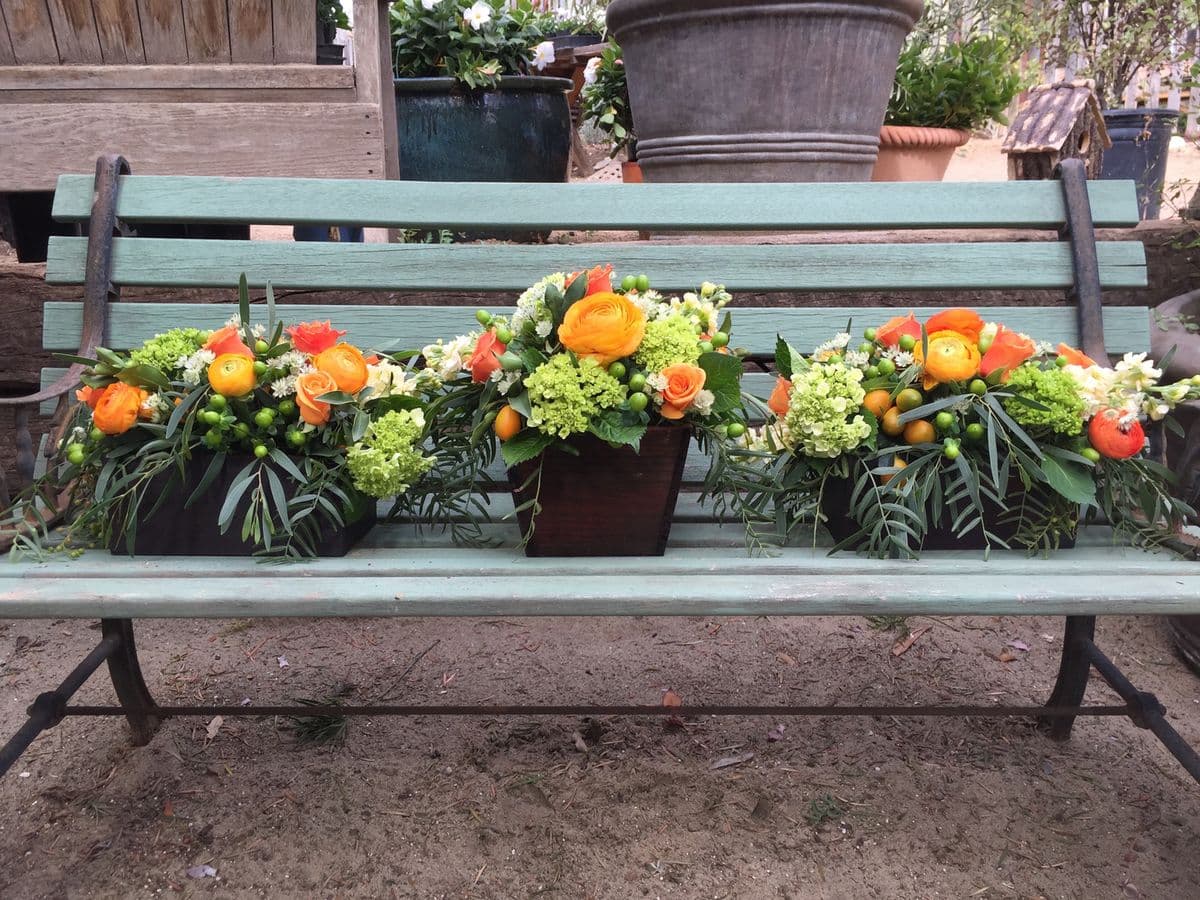 Feather Acres Farm & Nursery