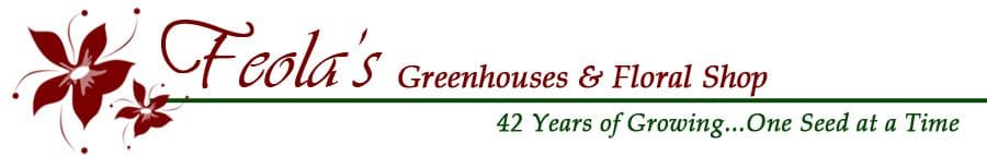 Feola's Greenhouses and Floral Shop